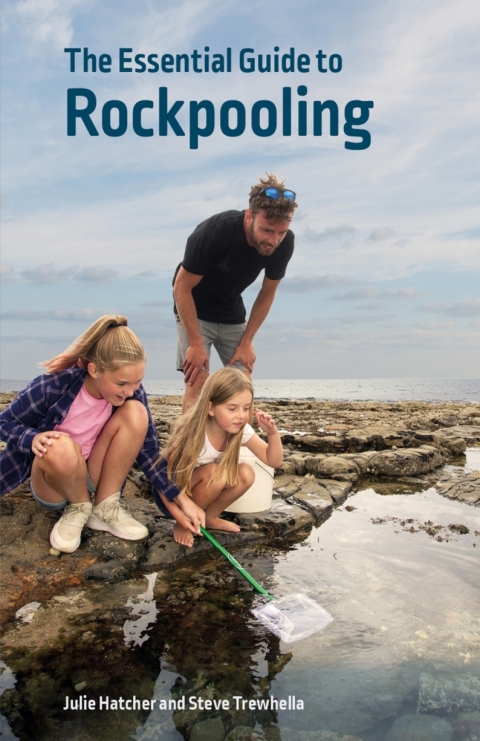 The Essential Guide to Rockpooling 