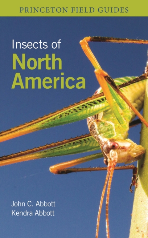 Cover image for book Insects of North America