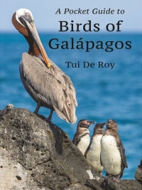 Imagen de portada: A Pocket Guide to Birds of Galápagos 9780691233635