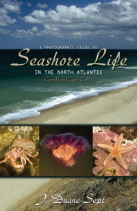Cover image: A Photographic Guide to Seashore Life in the North Atlantic 9780691133195