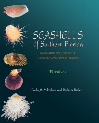 Cover image: Seashells of Southern Florida 9780691116068