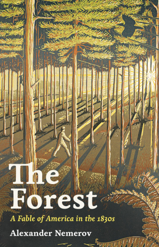 The Forest