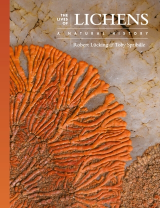 The Lives of Lichens
