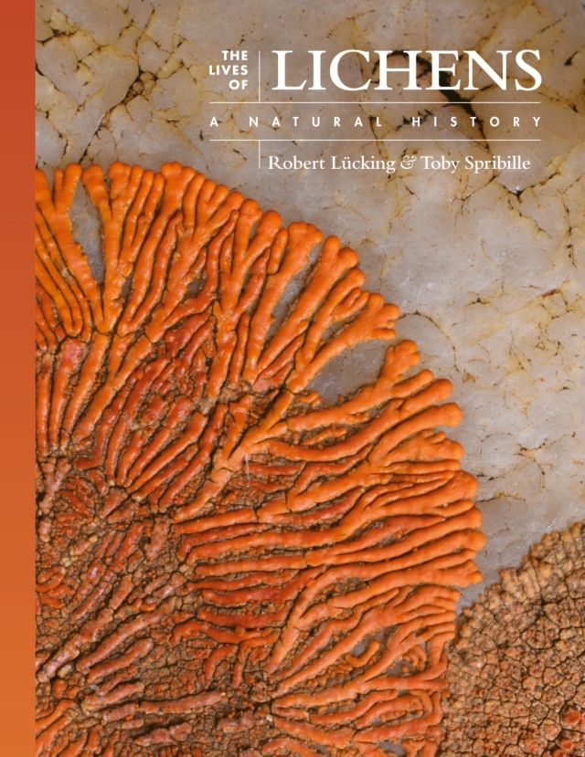 The Lives of Lichens