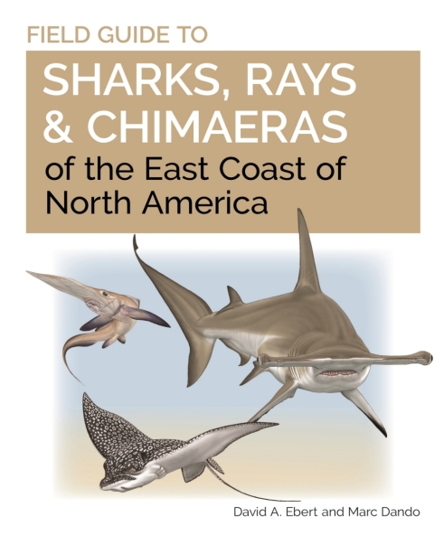 Field Guide to Sharks, Rays and Chimaeras of the East Coast of North America 
