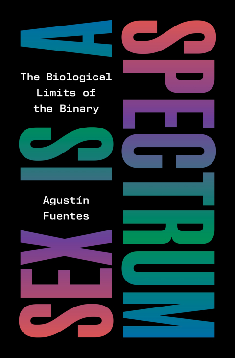 Cover image for book Sex Is a Spectrum