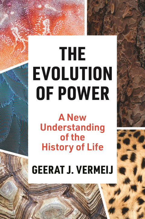 Cover image for book The Evolution of Power