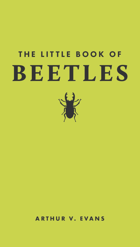 Cover image for book The Little Book of Beetles