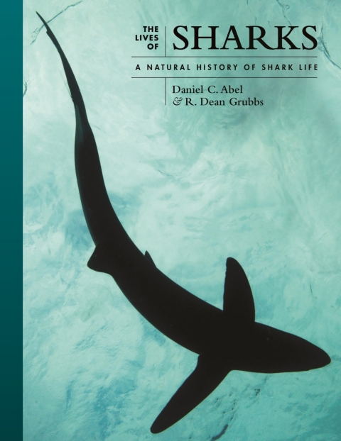 Cover image for book The Lives of Sharks