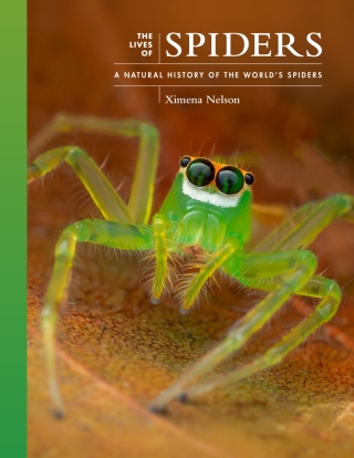 The Lives of Spiders