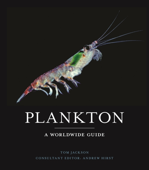 Plankton 