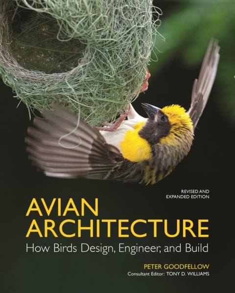 Avian Architecture  Revised and Expanded Edition 