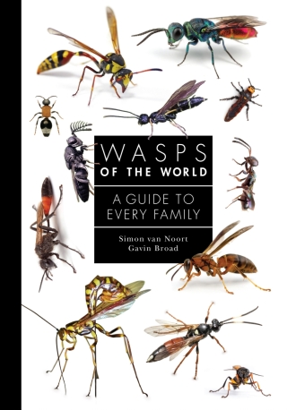 Wasps of the World