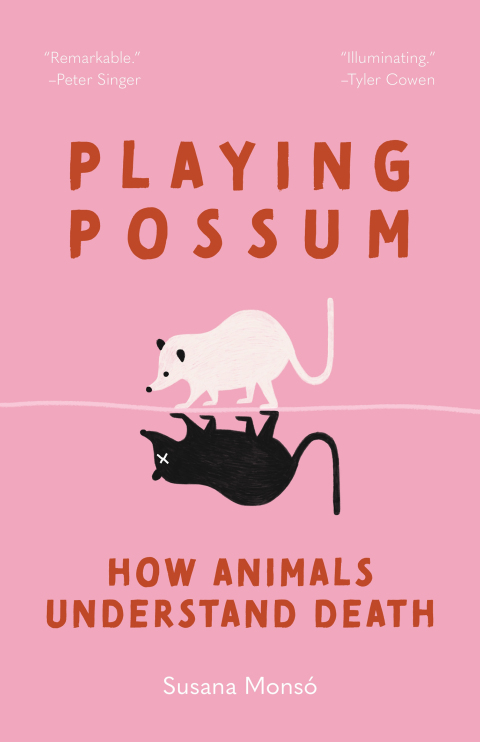 Cover image for book Playing Possum