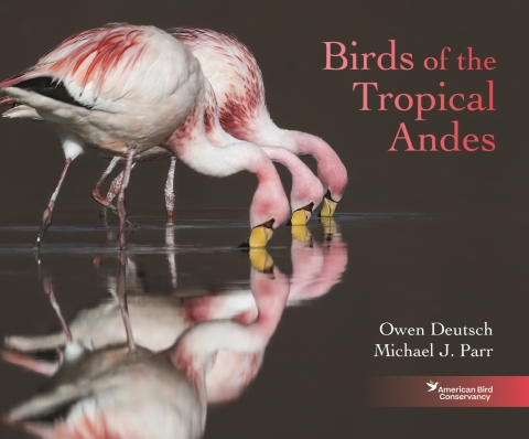Birds of the Tropical Andes 