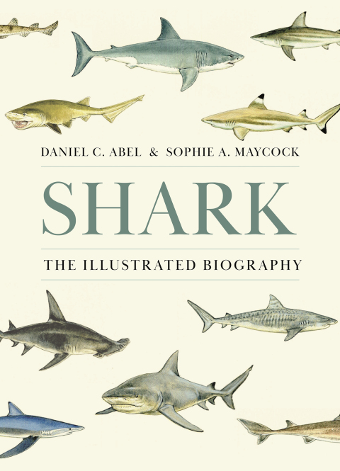 Cover image for book Shark