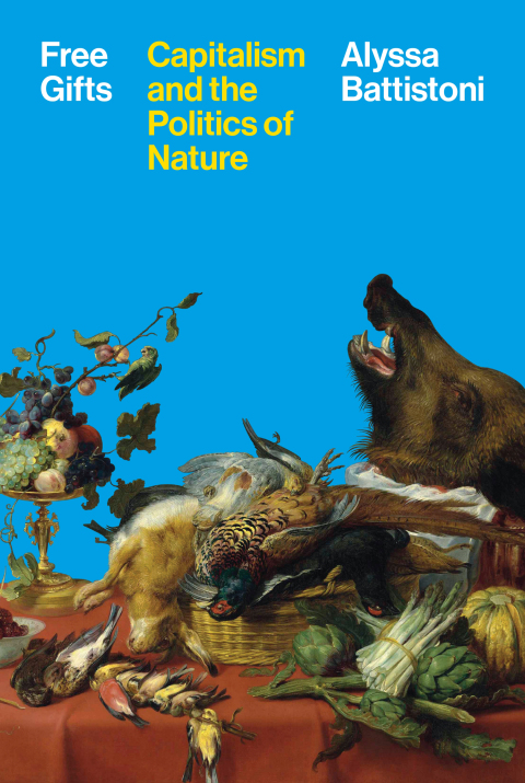 Cover image for book Free Gifts