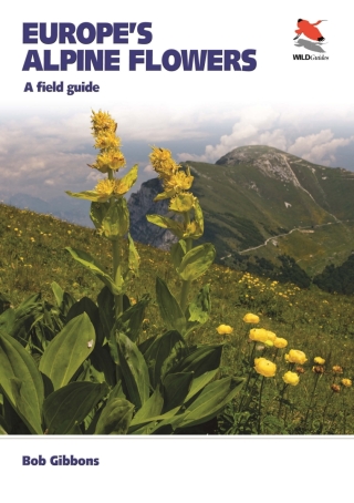 Europe's Alpine Flowers
