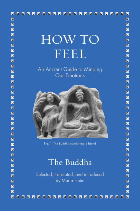 Cover image for book How to Feel