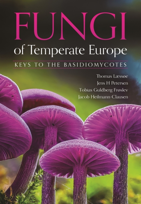 Cover image for book Fungi of Temperate Europe