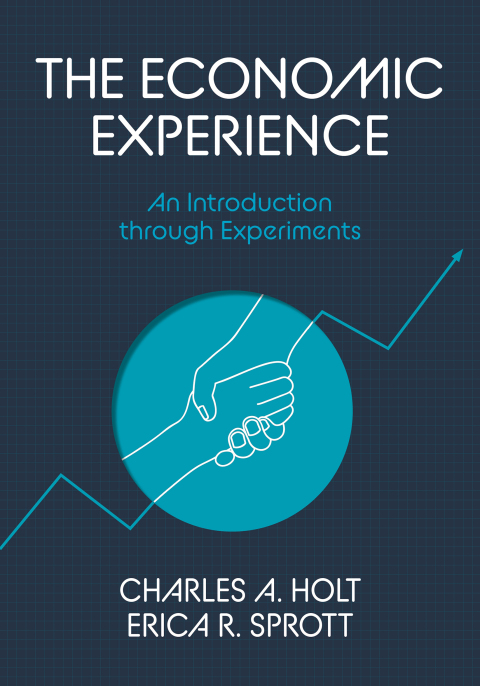 Cover image for book The Economic Experience