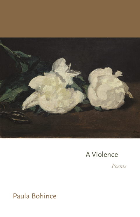 Cover image for book A Violence