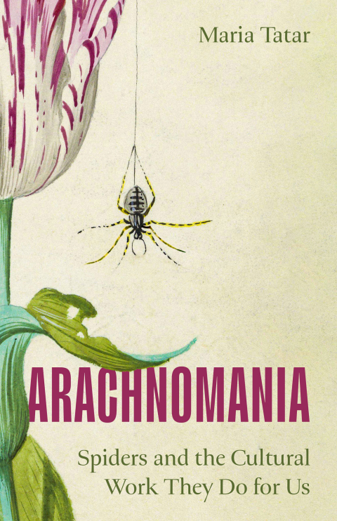 Cover image for book Arachnomania