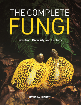 The Complete Fungi