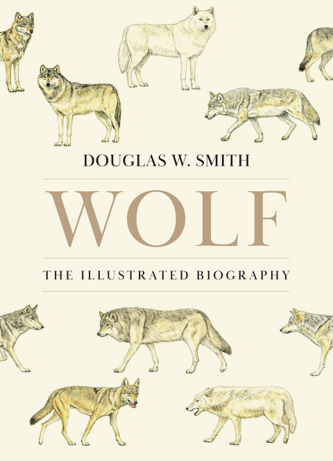 Cover image for book Wolf