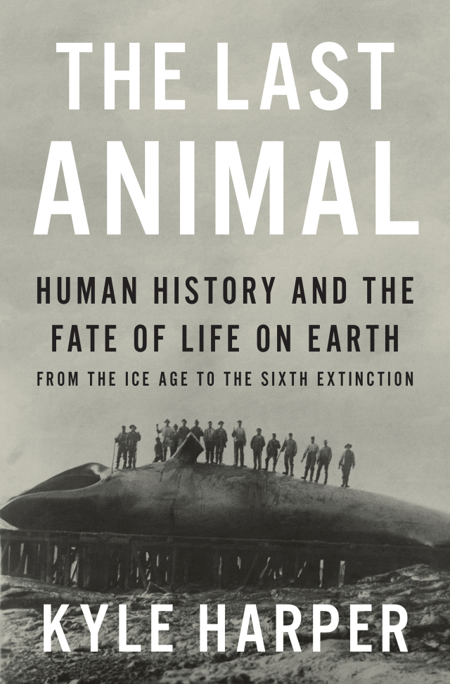 The Last Animal