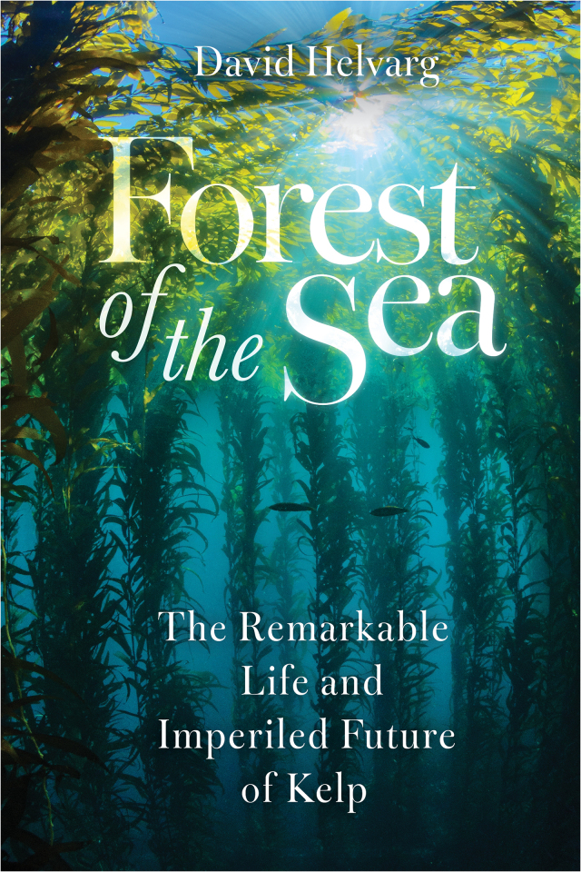 Forest of the Sea