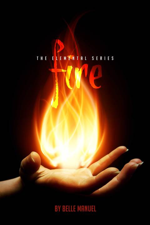 Cover image for book Fire