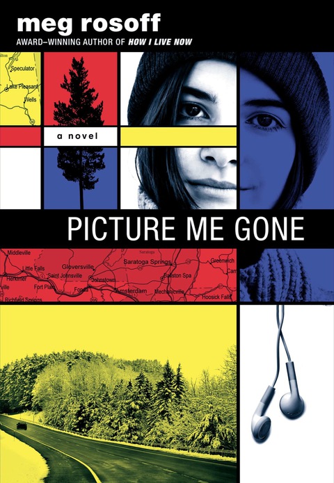 Cover image for book Picture Me Gone