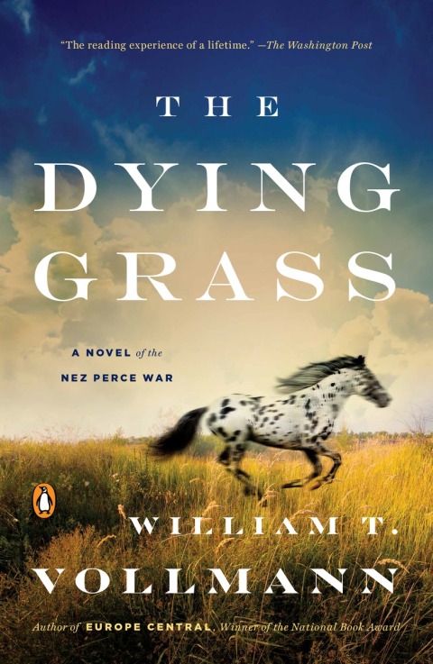 Cover image for book The Dying Grass