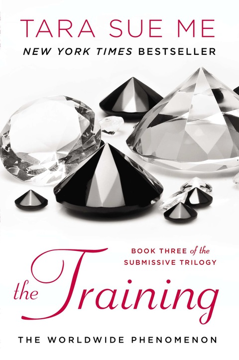 Cover image for book The Training