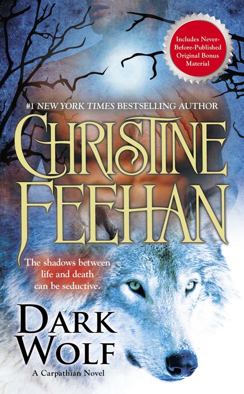 Cover image for book Dark Wolf