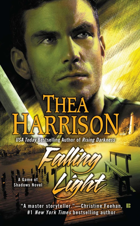 Cover image for book Falling Light