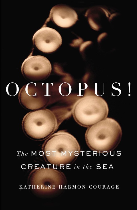Cover image for book Octopus!