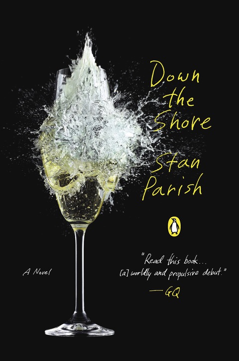 Cover image for book Down the Shore