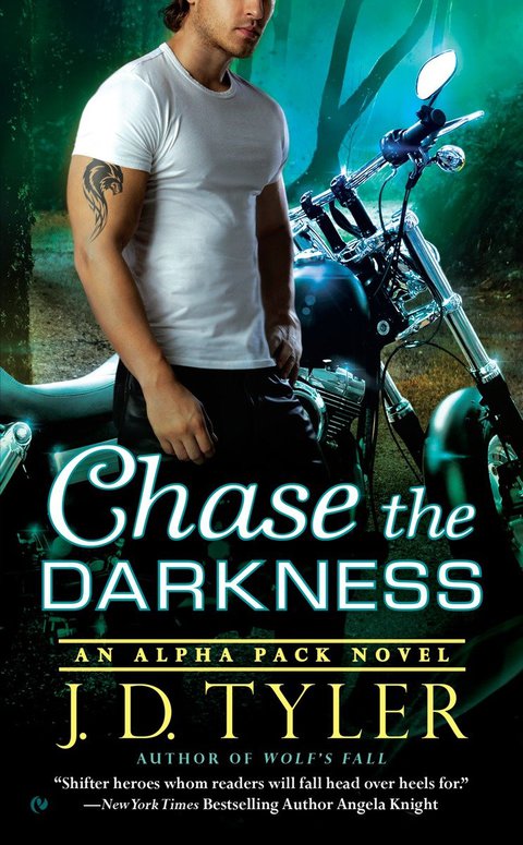 Cover image for book Chase the Darkness
