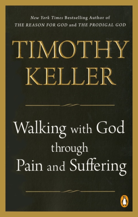 Cover image for book Walking with God through Pain and Suffering