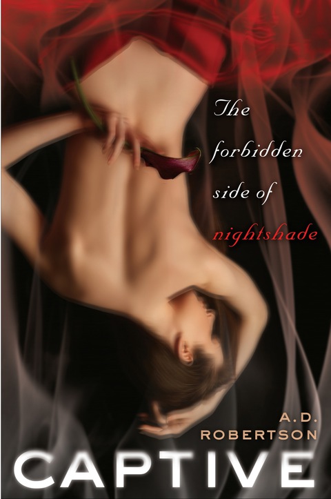 Cover image for book Captive