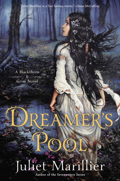 Cover image for book Dreamer's Pool