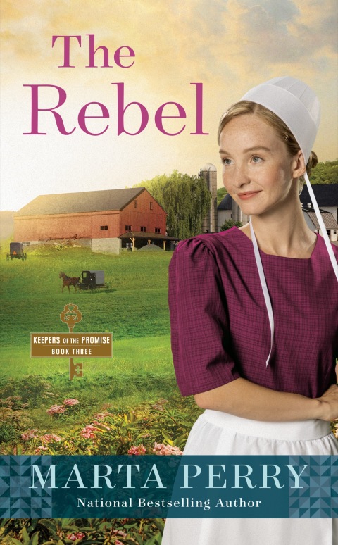Cover image for book The Rebel