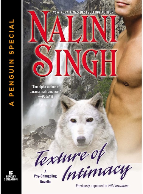 Cover image for book Texture of Intimacy