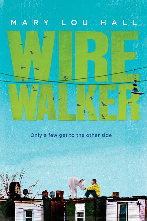 Cover image for book Wirewalker