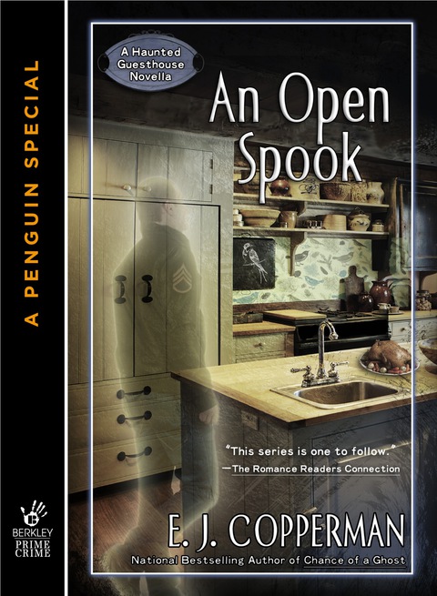 Cover image for book An Open Spook