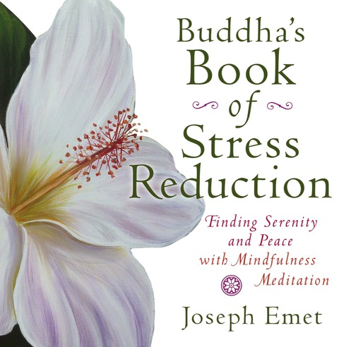 Cover image for book Buddha's Book of Stress Reduction