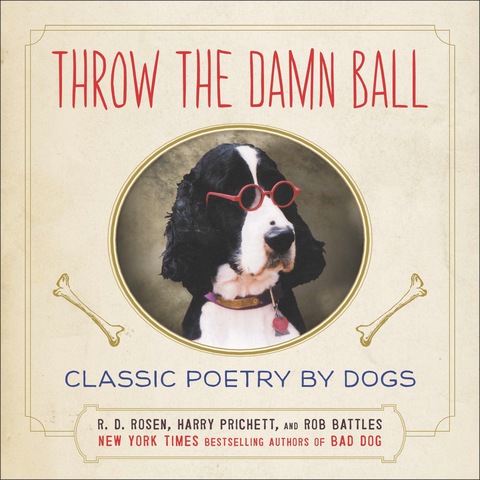 Cover image for book Throw the Damn Ball