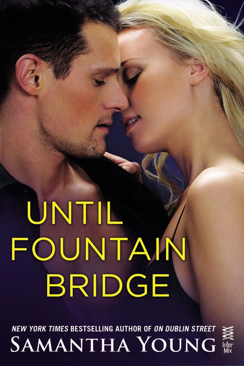 Cover image for book Until Fountain Bridge